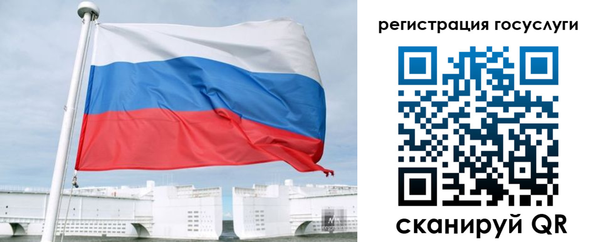 временная регистрация поиск в Черняховске